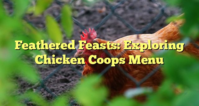 Feathered Feasts: Exploring Chicken Coops Menu 